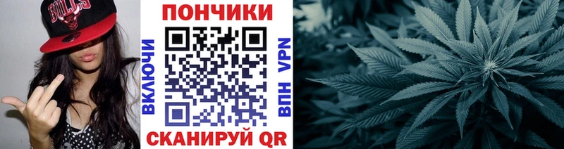 Купить закладки  Стародуб  Шишки марихуана гибрид 